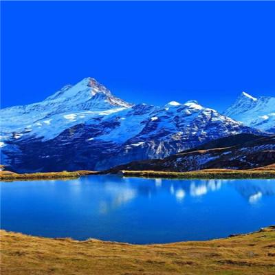 365体育手机版app下载