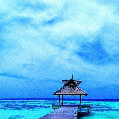 leyu·乐鱼体育手机app下载截图