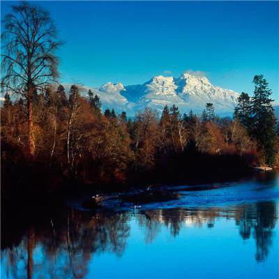 炸金花游戏手机app下载