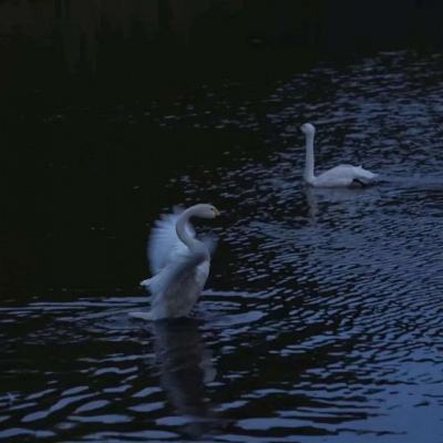 金博宝手机app下载