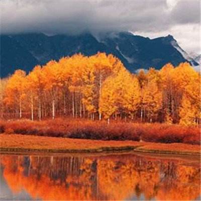 kaiyun平台app下载app下载