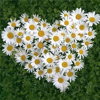 金博宝官网下载手机版